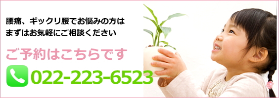 仙台市の腰痛治療のスペシャリスト【あろは整骨院】