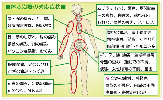 仙台市青葉区,腰痛治療,ぎっくり腰,体芯矯正療法,整骨院